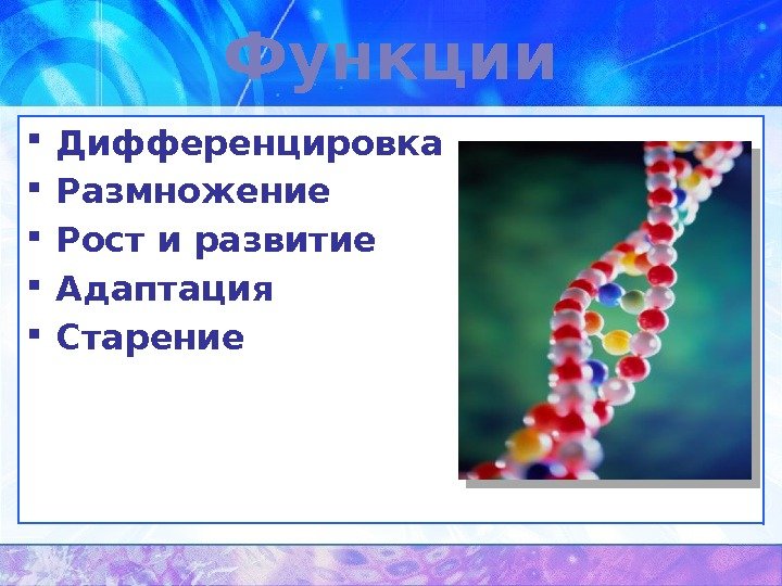 Функции Дифференцировка Размножение Рост и развитие Адаптация Старение 